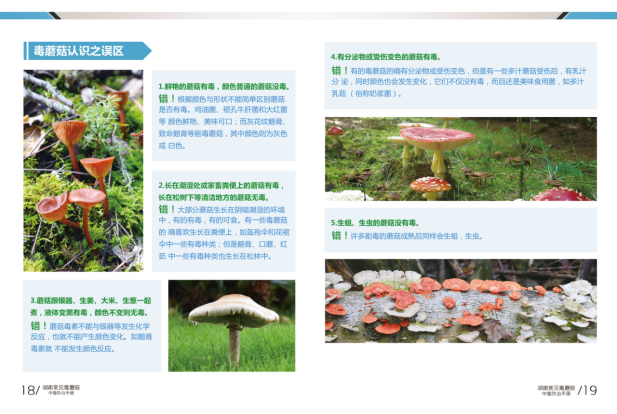 图片.png