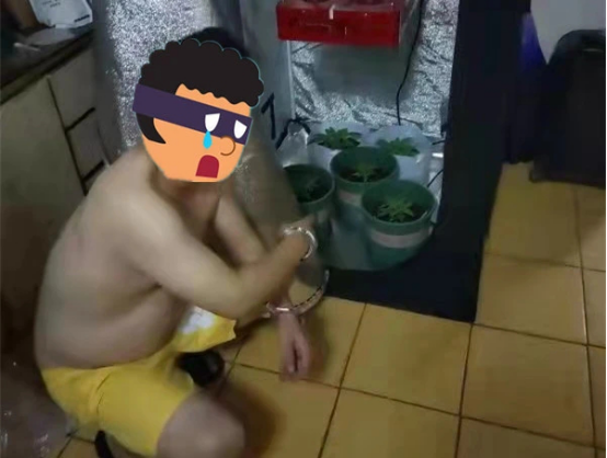 图片.png